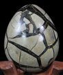 Septarian Dragon Egg Geode - Black Calcite Crystals #33997-4